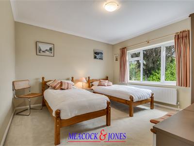 Picture 20